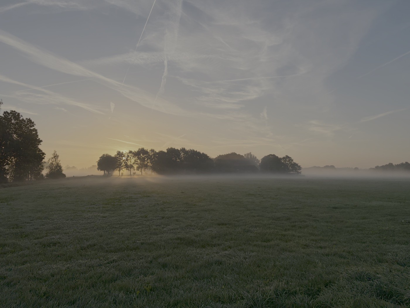 Mist on the fields